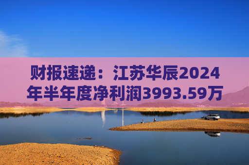 财报速递：江苏华辰2024年半年度净利润3993.59万元