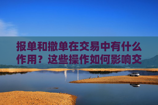 报单和撤单在交易中有什么作用？这些操作如何影响交易策略？