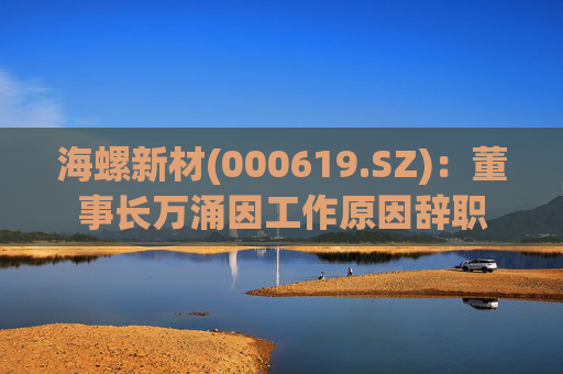 海螺新材(000619.SZ)：董事长万涌因工作原因辞职