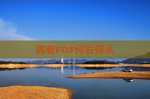 养老FOF何去何从