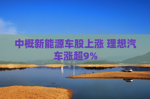 中概新能源车股上涨 理想汽车涨超9%