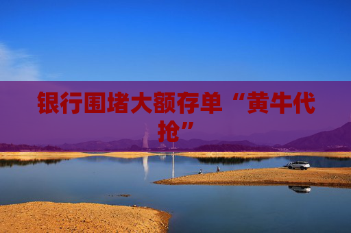 银行围堵大额存单“黄牛代抢”