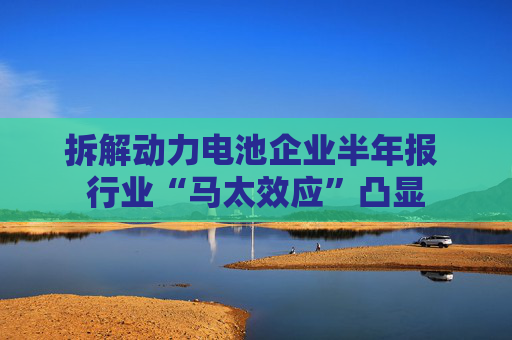 拆解动力电池企业半年报 行业“马太效应”凸显
