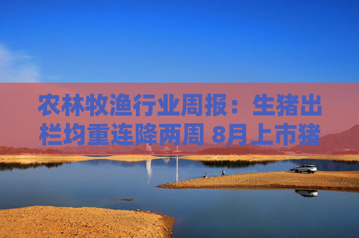 农林牧渔行业周报：生猪出栏均重连降两周 8月上市猪企出栏微增