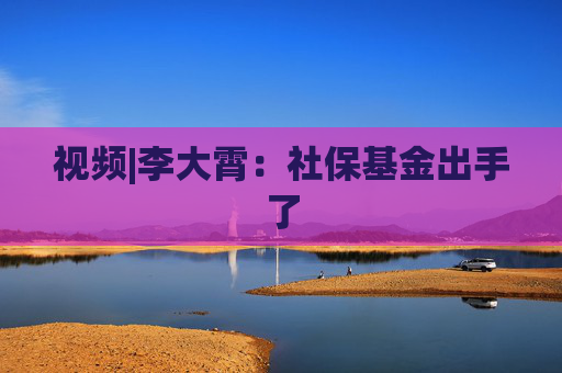 视频|李大霄：社保基金出手了