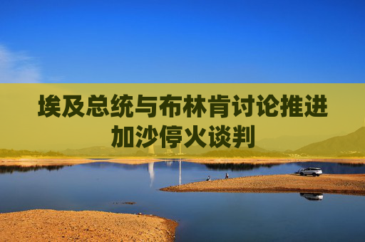 埃及总统与布林肯讨论推进加沙停火谈判
