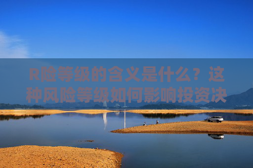 R险等级的含义是什么？这种风险等级如何影响投资决策？