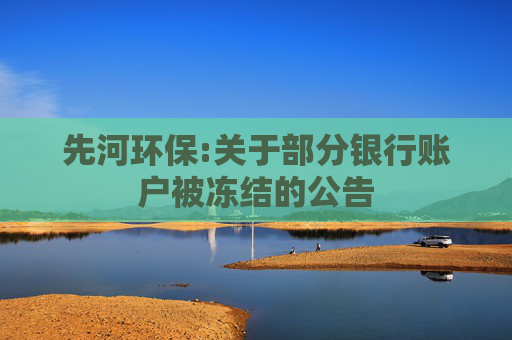 先河环保:关于部分银行账户被冻结的公告