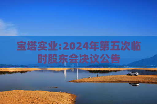 宝塔实业:2024年第五次临时股东会决议公告