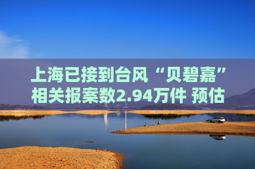 上海已接到台风“贝碧嘉”相关报案数2.94万件 预估赔款5亿元