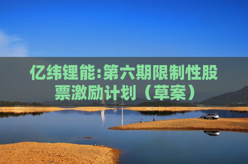 亿纬锂能:第六期限制性股票激励计划（草案）