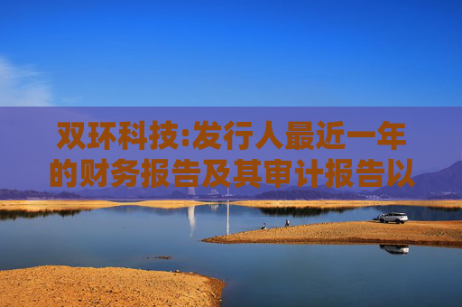双环科技:发行人最近一年的财务报告及其审计报告以及最近一期的财务报告