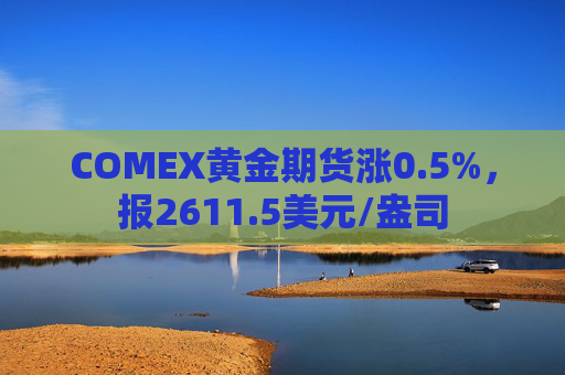 COMEX黄金期货涨0.5%，报2611.5美元/盎司