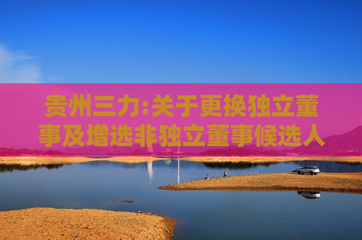 贵州三力:关于更换独立董事及增选非独立董事候选人的公告