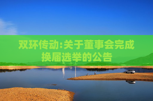 双环传动:关于董事会完成换届选举的公告