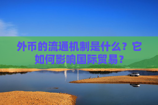 外币的流通机制是什么？它如何影响国际贸易？