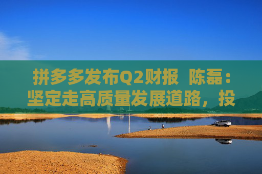 拼多多发布Q2财报  陈磊：坚定走高质量发展道路，投入百亿扶持新质商家