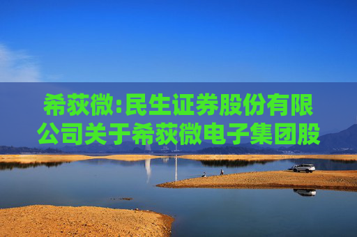 希荻微:民生证券股份有限公司关于希荻微电子集团股份有限公司2024年半年度持续督导跟踪报告