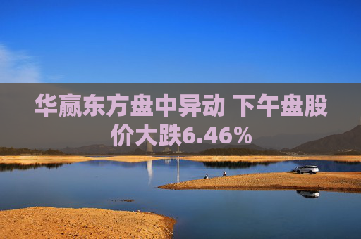 华赢东方盘中异动 下午盘股价大跌6.46%