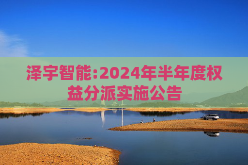 泽宇智能:2024年半年度权益分派实施公告