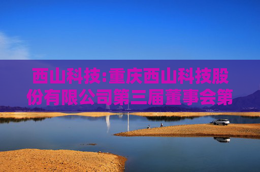 西山科技:重庆西山科技股份有限公司第三届董事会第二十九次会议决议公告