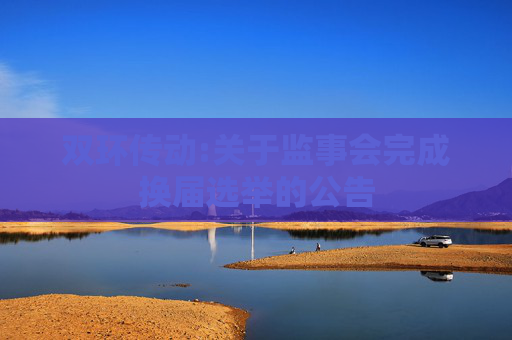 双环传动:关于监事会完成换届选举的公告