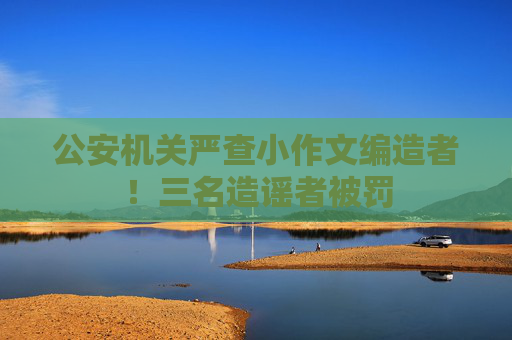 公安机关严查小作文编造者！三名造谣者被罚