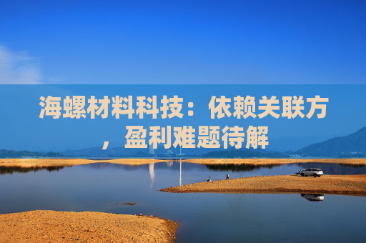 海螺材料科技：依赖关联方，盈利难题待解