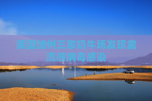 美国加州三家奶牛场发现禽流感病毒感染