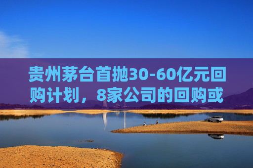 贵州茅台首抛30-60亿元回购计划，8家公司的回购或增持谁更有诚意？