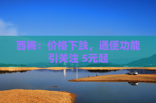 西梅：价格下跌，通便功能引关注 5元起