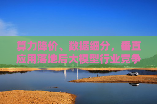 算力降价、数据细分，垂直应用落地后大模型行业竞争点何在？
