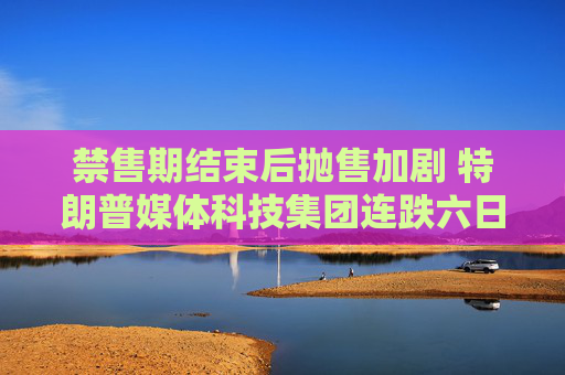 禁售期结束后抛售加剧 特朗普媒体科技集团连跌六日至2021年来新低