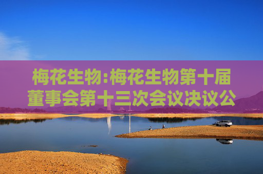 梅花生物:梅花生物第十届董事会第十三次会议决议公告