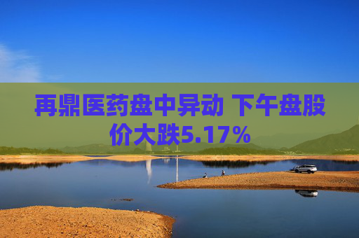 再鼎医药盘中异动 下午盘股价大跌5.17%