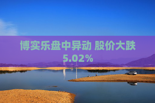 博实乐盘中异动 股价大跌5.02%