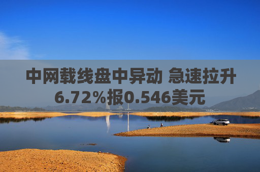 中网载线盘中异动 急速拉升6.72%报0.546美元