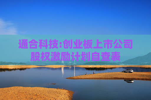 通合科技:创业板上市公司股权激励计划自查表