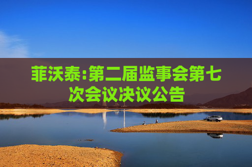 菲沃泰:第二届监事会第七次会议决议公告