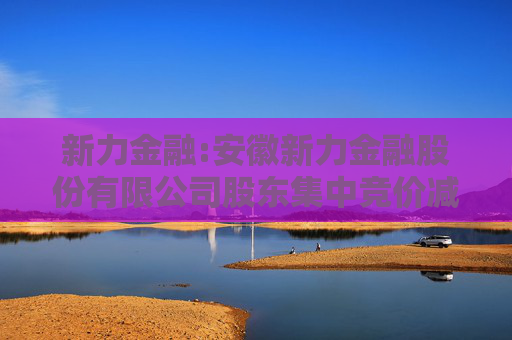 新力金融:安徽新力金融股份有限公司股东集中竞价减持股份计划公告