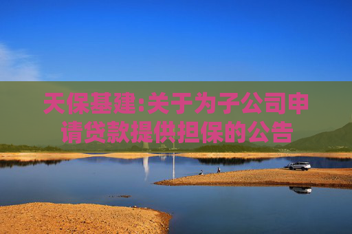 天保基建:关于为子公司申请贷款提供担保的公告