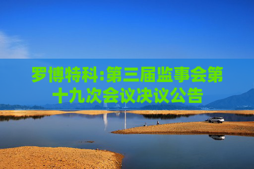 罗博特科:第三届监事会第十九次会议决议公告