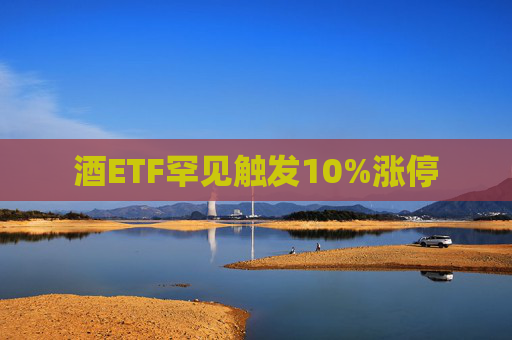 酒ETF罕见触发10%涨停