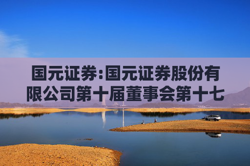国元证券:国元证券股份有限公司第十届董事会第十七次会议决议公告