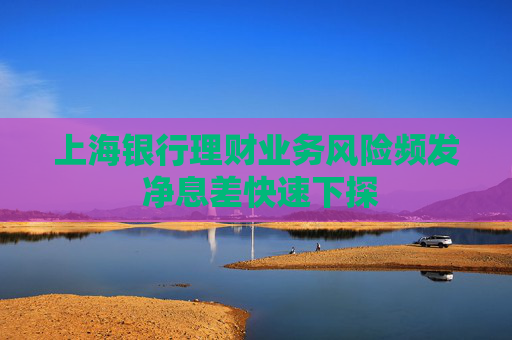 上海银行理财业务风险频发 净息差快速下探