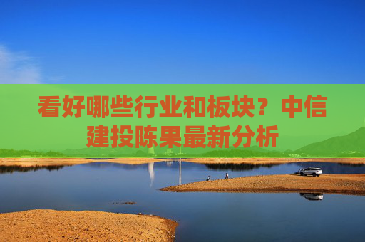 看好哪些行业和板块？中信建投陈果最新分析