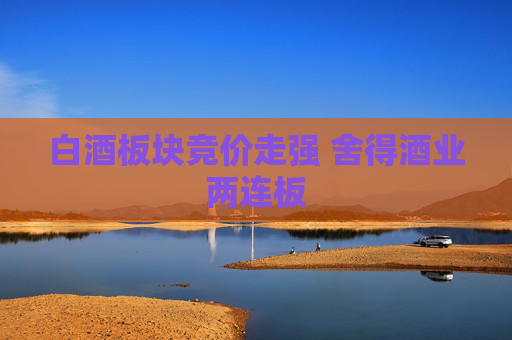 白酒板块竞价走强 舍得酒业两连板