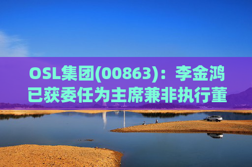 OSL集团(00863)：李金鸿已获委任为主席兼非执行董事