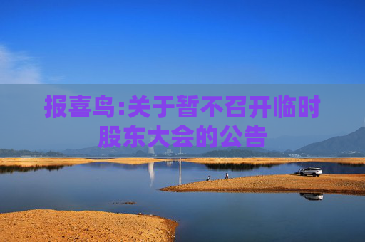 报喜鸟:关于暂不召开临时股东大会的公告