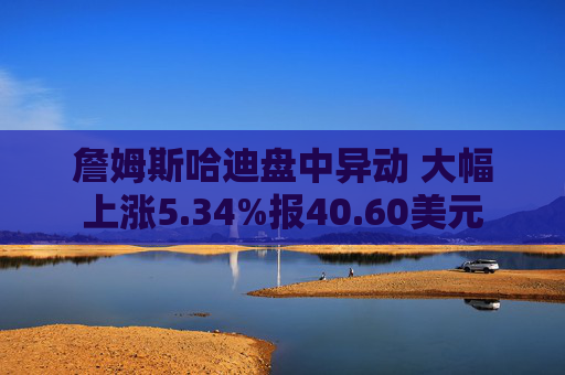詹姆斯哈迪盘中异动 大幅上涨5.34%报40.60美元